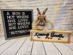 Adopt Buttercup a Lionhead