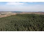 Rimside Forest, Alnwick, Northumberland NE66, land for sale - 66075017