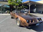 1979 Pontiac Firebird Trans Am