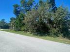 Palm Coast, Flagler County, FL Undeveloped Land, Homesites for sale Property ID:
