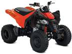 2024 Can-Am DS 250