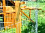 ON SALE- Portable Chicken fence and Garden Fence Posts with Bases ON SALE for