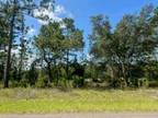 Citrus Springs, Citrus County, FL Farms and Ranches, Homesites for sale Property