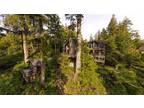 House for sale in Ucluelet, Ucluelet, 330 Reef Point Rd, 951614
