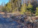 Lot 21-2 Country Harbour Road, Melrose, NS, B0H 1J0 - vacant land for sale