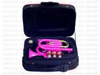 Winter Sale Pocket Trumpet, Bb, Pink. with Case & Mp