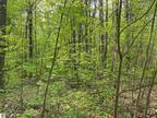 Reed City, Osceola County, MI Undeveloped Land, Homesites for rent Property ID: