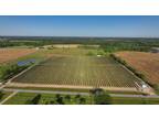 Hartsfield, Colquitt County, GA Farms and Ranches, Commercial Property for sale