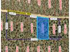 Timberon, Otero County, NM Undeveloped Land, Homesites for sale Property ID: