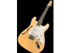 NEW GREAT PLAYING stratocaster style SEMI-HOLLOW 12 STRING ELECTRIC GUITAR