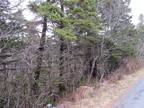 19-23 Bally Hack Road, Avondale, NL, A0A 1B0 - vacant land for sale Listing ID