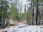 Plot For Sale In Birnamwood, Wisconsin