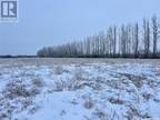 York Lake Road Lot, Orkney Rm No. 244, SK, S3N 0K4 - vacant land for sale