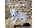 Casper