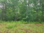 Plot For Sale In Unionville, Tennessee