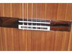 New 2023 Darren Hippner Classical Guitar Bernabe #1157 , USA Made Luthier