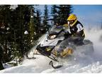 2011 Ski-Doo MX Z® TNT™ 800R Power T.E.K.