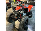 2024 Can-Am DS 250