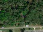 Foreclosure Property: SW County Road 245