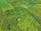 74 69 /-acres Kitson Rd Winfield, MO