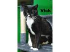 Adopt Vick a Tuxedo