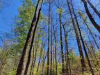 Pine Hill, Wilcox County, AL Recreational Property, Timberland Property