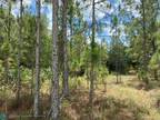 Indian Lake Estates, Polk County, FL Homesites for sale Property ID: 418673842