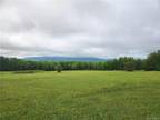STATE HWY 10, Other, NY 13786 Land For Sale MLS# H6254062
