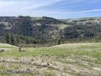 Harpster, Idaho County, ID Farms and Ranches, Homesites for sale Property ID: