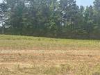 Hallsville, Harrison County, TX Undeveloped Land, Homesites for sale Property