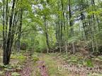 Pembine, Marinette County, WI Undeveloped Land for sale Property ID: 416476601