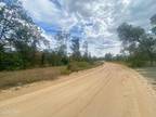 Marianna, Jackson County, FL Undeveloped Land for sale Property ID: 418051454