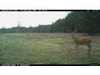 Brookville, Jefferson County, PA Hunting Property for sale Property ID: