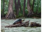 Oil Painting Turtle in Mangrove Swamp Lake Landscape Animal Wildlife Art A. Joli