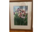 Transparent Watercolor "Iris Pastel" by Tasia, 1989 22"x18"