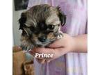 Prince