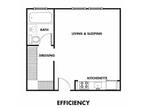 The Edison - Studio | 1 bath - EFFR