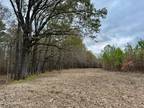 Madison, Madison County, MS Undeveloped Land for sale Property ID: 418342811