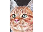 ACEO Original Animal Painting Orange Cat Portrait Miniature Art