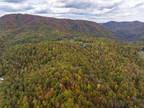 Farm House For Sale In Roan Mountain, Tennessee