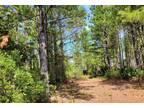 Waycross, Ware County, GA Recreational Property, Timberland Property