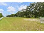 1407 Whitaker Rd, Lutz, FL 33549 - MLS T3454826