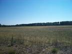 38 Acres 18th St Lots 0208 And 0209 Necedah, WI