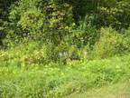 Lot 477 Sherbrook Dr, Goshen, CT 06756 - MLS 170437740