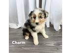 Charm