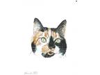 ACEO Original Watercolor Painting 2.5"x3.5" Calico Kitty Cat Pet Portrait