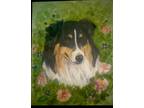 Australian Shepherd Dog Original watercolor By Margaret Prince 2003