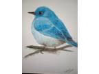 Blue Bird watercolor painting. Nature watercolor art. Original watercolor art.