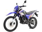 2022 X-PRO Hawk 250 Dirt Bike