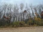 Canadian Lakes, Mecosta County, MI Homesites for rent Property ID: 415871897